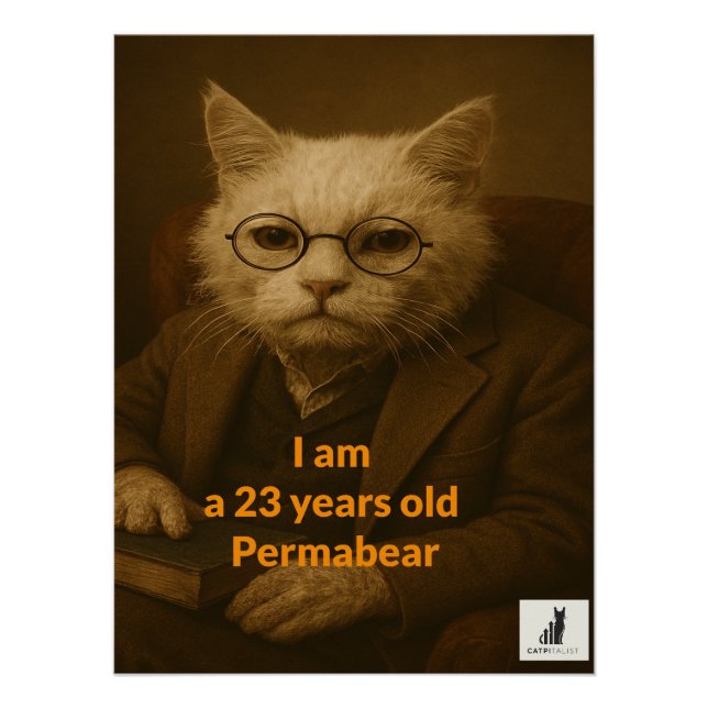 Póster Sou uma Permabear de 23 anos. O mercado mais antig (Frente)