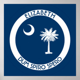 Póster South Carolina a bandeira pessoal do estado do