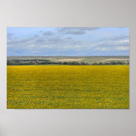 Poster South Dakota Sunflower Fazenda, Painterly