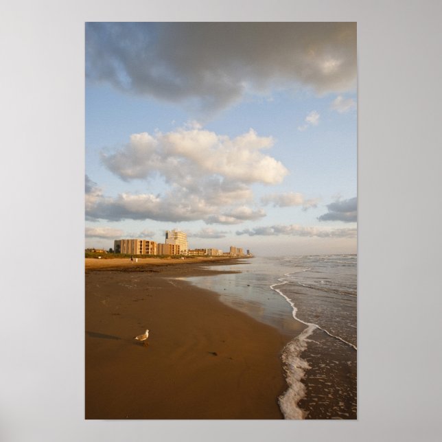 Póster South Padre Island, Texas, EUA, resort hotels, (Frente)