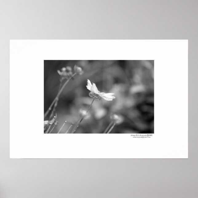 Póster Sozinha (Frente)