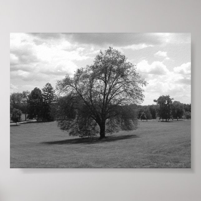 Póster Sozinha (Frente)