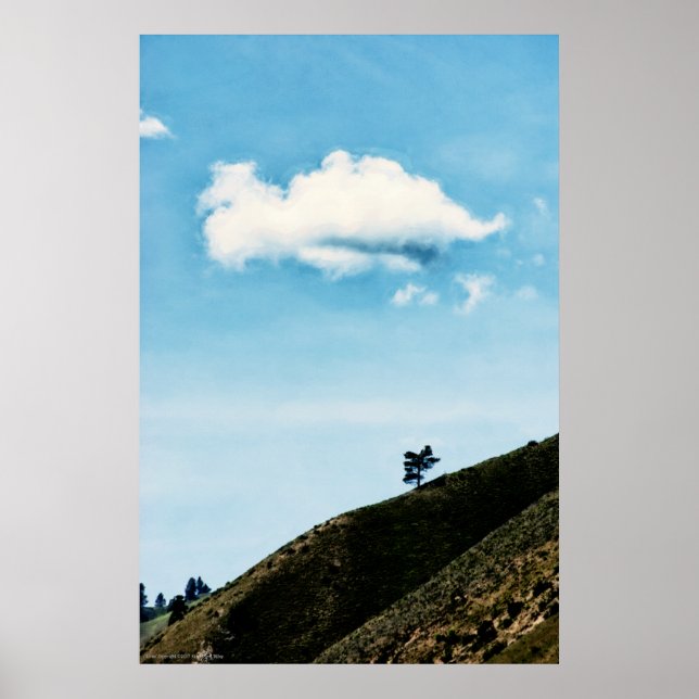 Poster Sozinha (Frente)