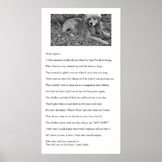 Póster Sozinha Novamente