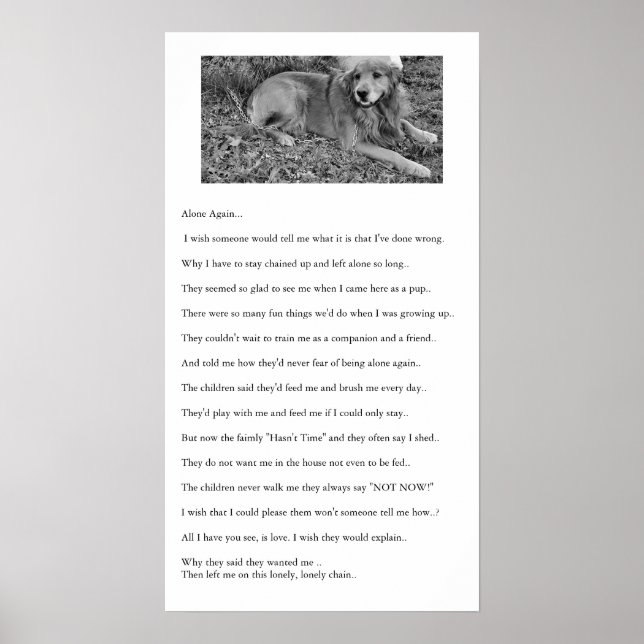 Póster Sozinha Novamente (Frente)