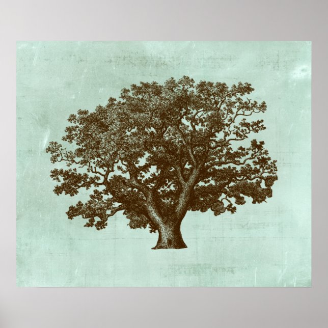 Póster Spa Tree IV (Frente)