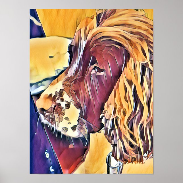 POSTER SPANIEL (Frente)