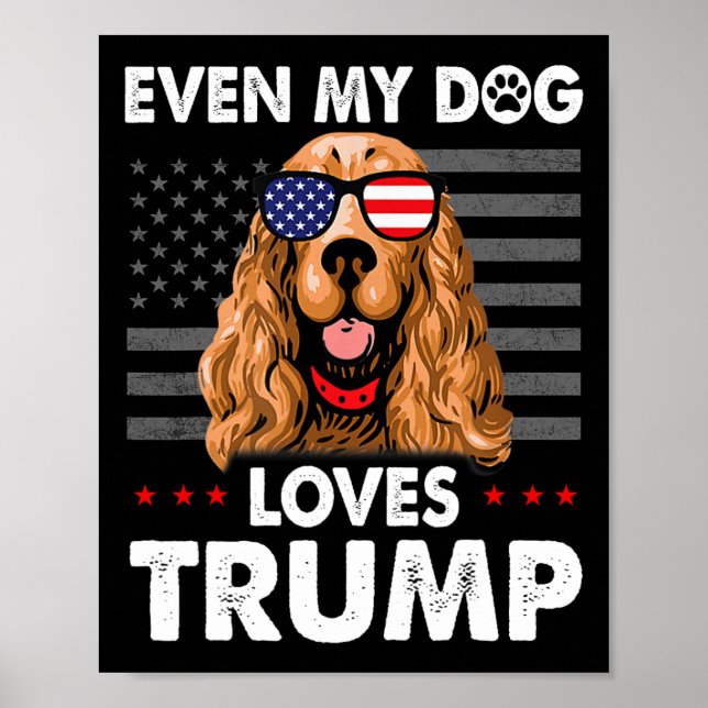 Poster Spaniel Até Meu Cachorro Adora Trump Engraçado (Frente)