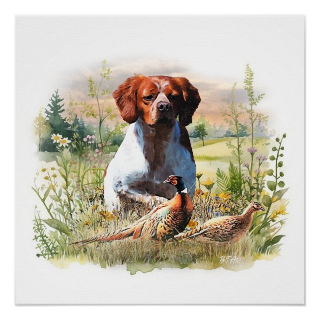 Póster Spaniel da Bretanha – Campo, Foco, Faisão, Arte (Frente)