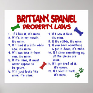 PÓSTER SPANIEL DE BRITTANY PL2