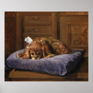 Póster Spaniel de rei Charles