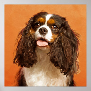 Poster Spaniel de rei Charles descuidado