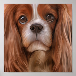 Poster Spaniel de rei descuidado Charles do cão do