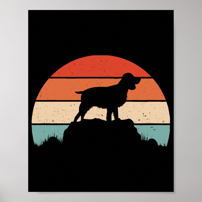 Poster Spaniel de springer em inglês (Frente)