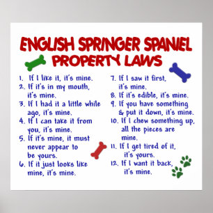 PÓSTER SPANIEL DE SPRINGER INGLÊS PL2