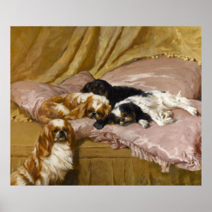 Póster Spaniels de rei Charles por Arthur Wardle