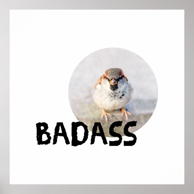 Poster Sparrow - Badass (Frente)