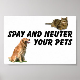 Poster Spay e Neuter