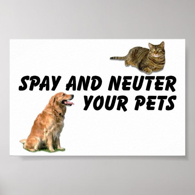 Poster Spay e Neuter (Frente)