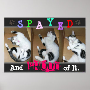 Póster Spayed e orgulhoso dele