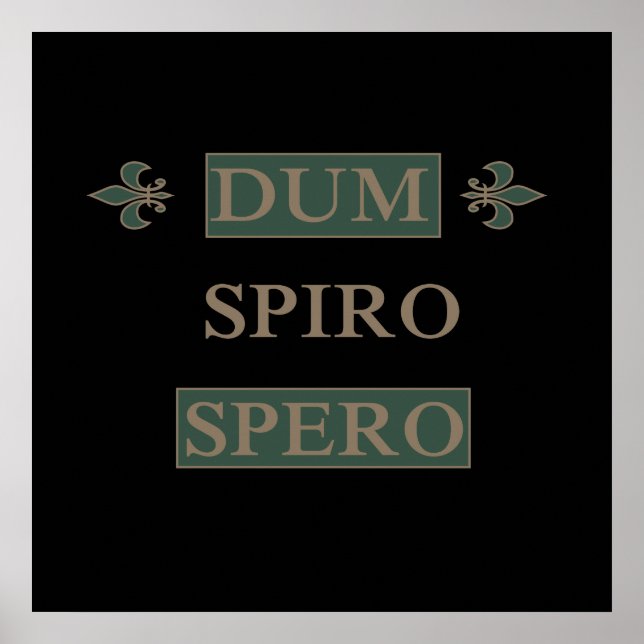 Poster Spero espiral (Frente)