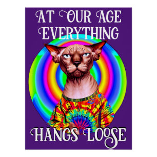 Póster Sphynx Cat Sobre o Aniversário de Hill