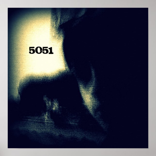 Poster SPIDERintheHALL 5051 (Frente)