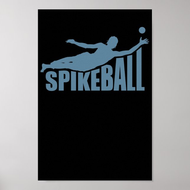 Poster Spikeball Ballsport Freizeit Roundball (Frente)