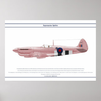 Póster Spitfire GB 16 Sqn 2