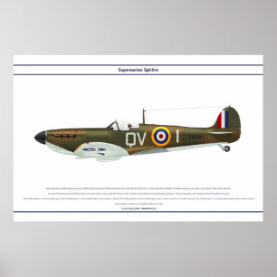 Póster Spitfire GB 19 Sqn 1