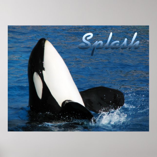 Poster Splash (Frente)