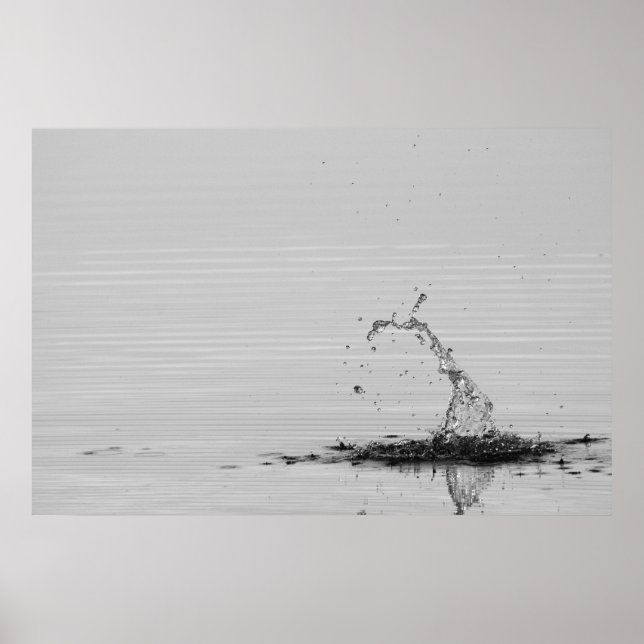 Poster Splash (Frente)