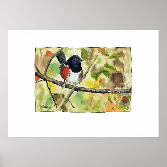 Poster Spotted Towhee, bird image, wall art, decoration (Frente)
