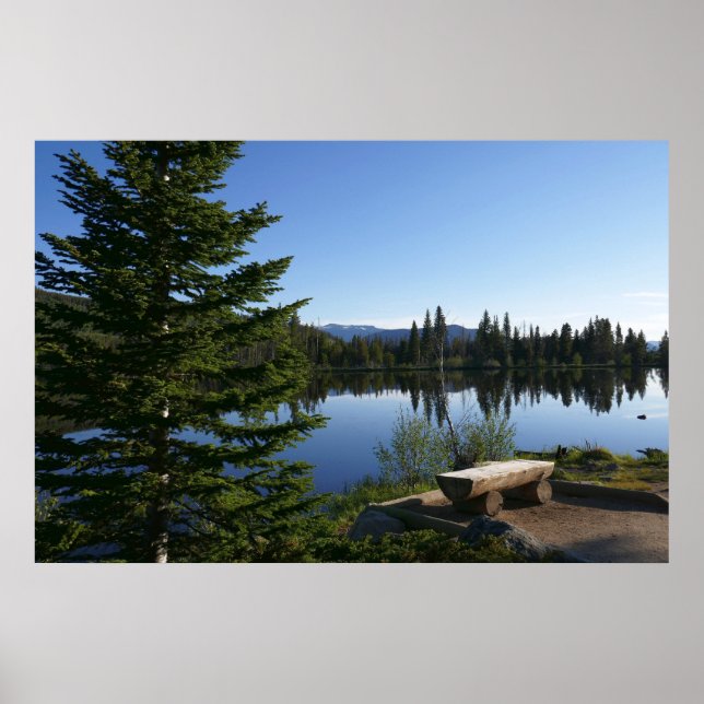 Poster Sprague Lake View (Frente)