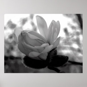 Póster Spring Bloom Print
