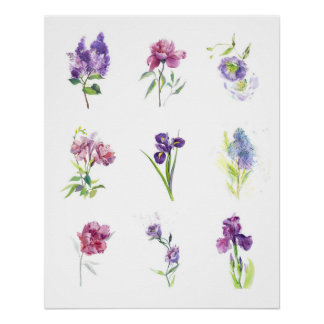 Póster Spring Flowers Botanical Watercolor Collection