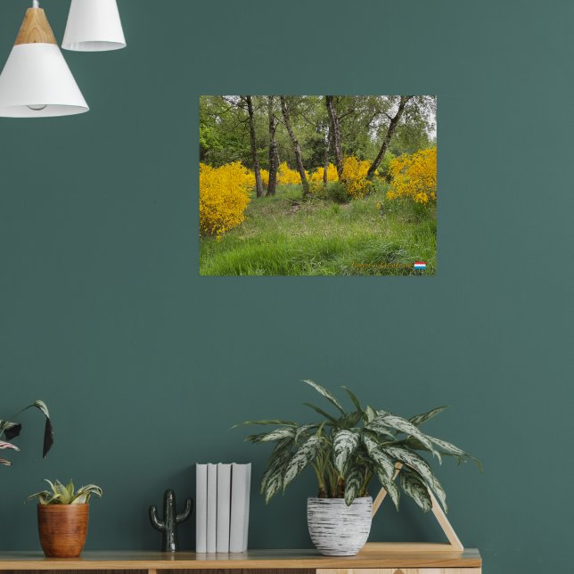 Poster Spring forest in Luxembourg travel (Sala de Estar 1)