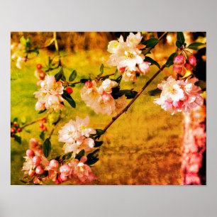 Poster Spring Pink And White Blossoms Grunge Abstract