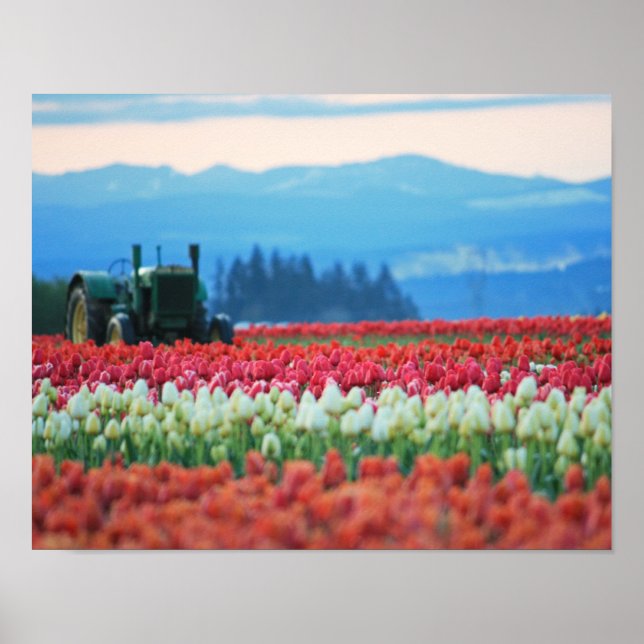 Póster Spring Tractor (Frente)