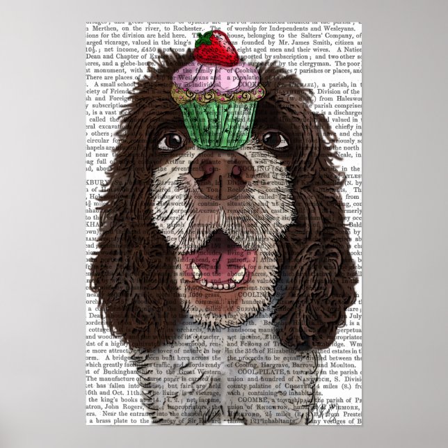 Poster Springer Spaniel com Cupcake (Frente)
