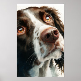 Poster Springer spaniel marrom