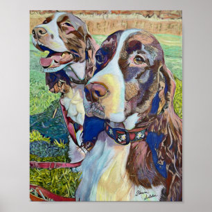 Poster Springer Spaniels