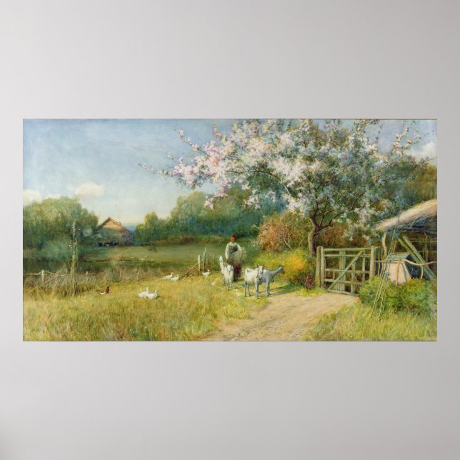 Poster Springtime (Frente)