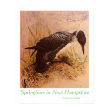 Springtime em New Hampshire por Chloe Dee Noble