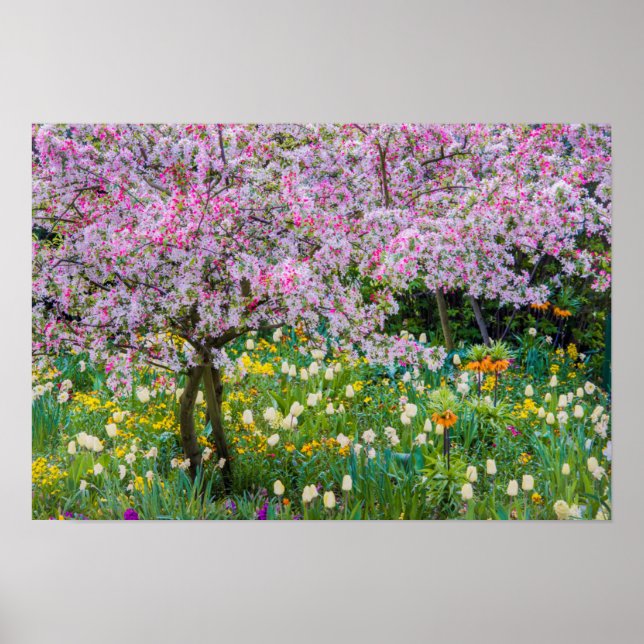 Póster Springtime no jardim de Claude Monet (Frente)