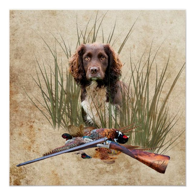 Póster Sprocker Spaniel Tapeçaria (Frente)