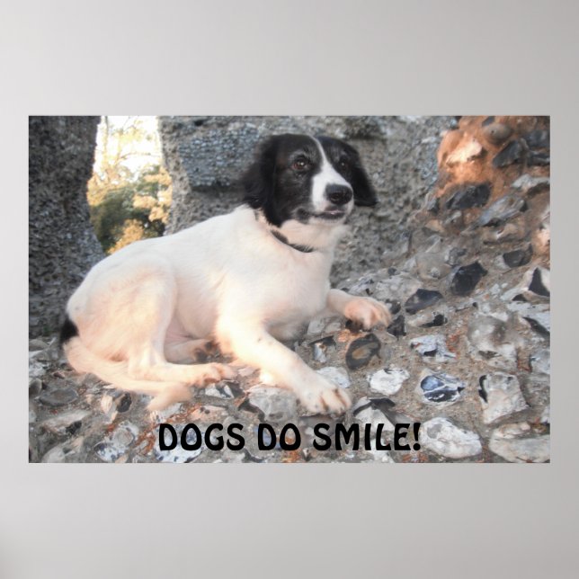 Poster Sprollie Visitando Castelo Sorrindo (Frente)