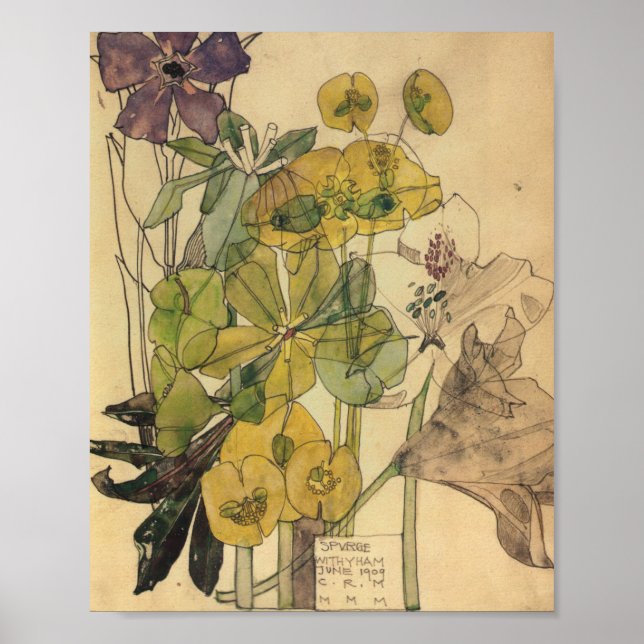 Poster Spurge Com Yham Flowers Charles Rennie Mackintosh (Frente)