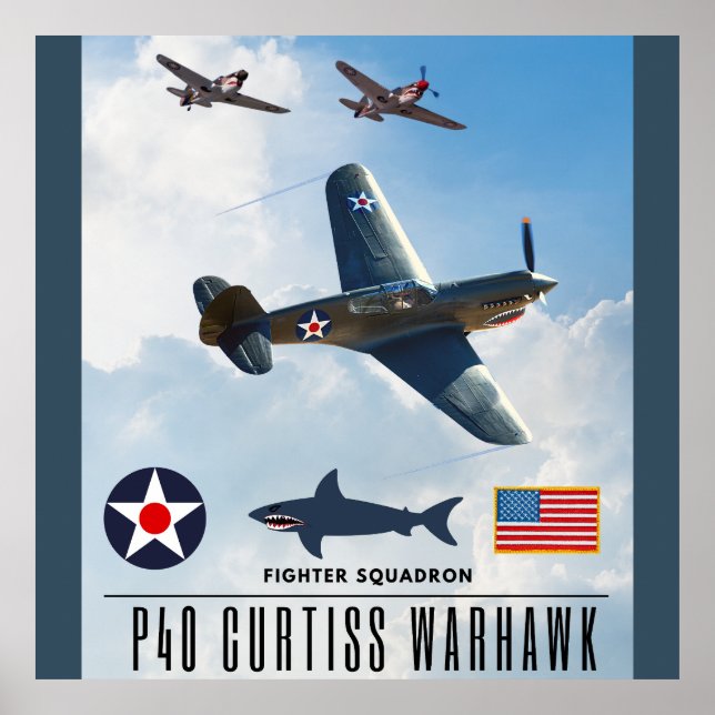 POSTER SQUADRON DE BRIGA DE WARHAWK P-40 CURTISS (Frente)