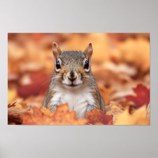 Poster Squirrel Wild Animal Loving Portrait 
